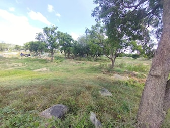 Commercial Land 12 Acre For Resale in Narsapura Bangalore  7561843