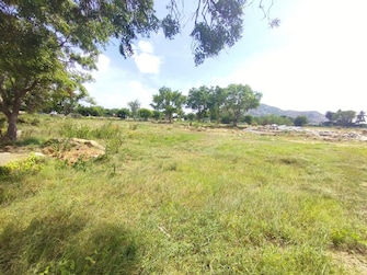 Commercial Land 12 Acre For Resale in Narsapura Bangalore  7561843