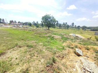 Commercial Land 12 Acre For Resale in Narsapura Bangalore  7561843