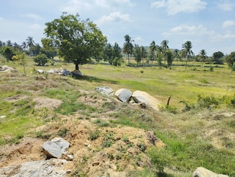 Commercial Land 12 Acre For Resale in Narsapura Bangalore  7561843