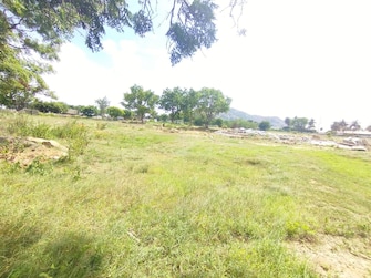 Commercial Land 12 Acre For Resale in Narsapura Bangalore  7561843