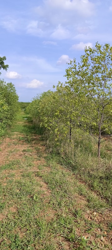  Plot For Sale in Durgapuram