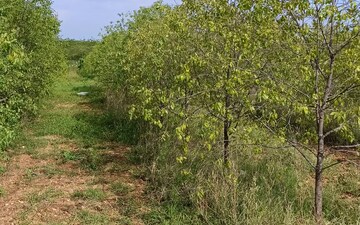 Plot For Sale in Durgapuram