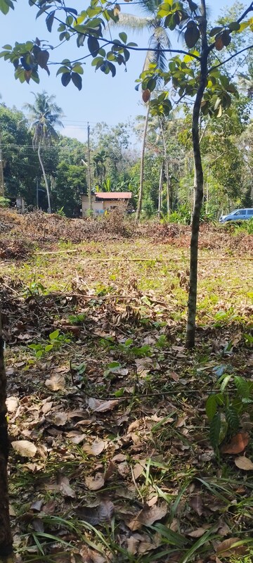 Plot For Resale in Changanacherry Kottayam  7561973