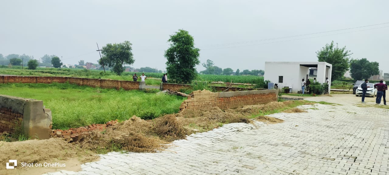 Plot For Resale in Krishana Nagar Meerut  7562277