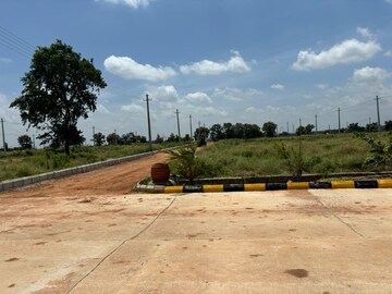 Plot Area in  Plot at Shadnagar – for Sale