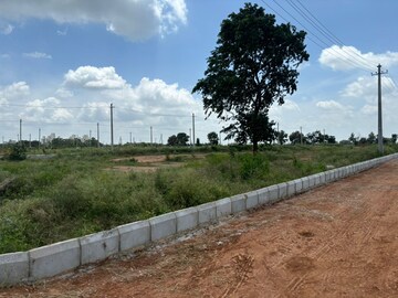 Plot Area in  Plot at Shadnagar – for Sale