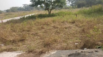 Plot For Resale in Shirgaon Pune  7563059