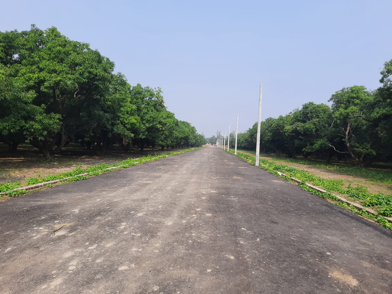 Commercial Land 2040 Sq.Ft. For Resale in Sitapur Road Lucknow  7563071