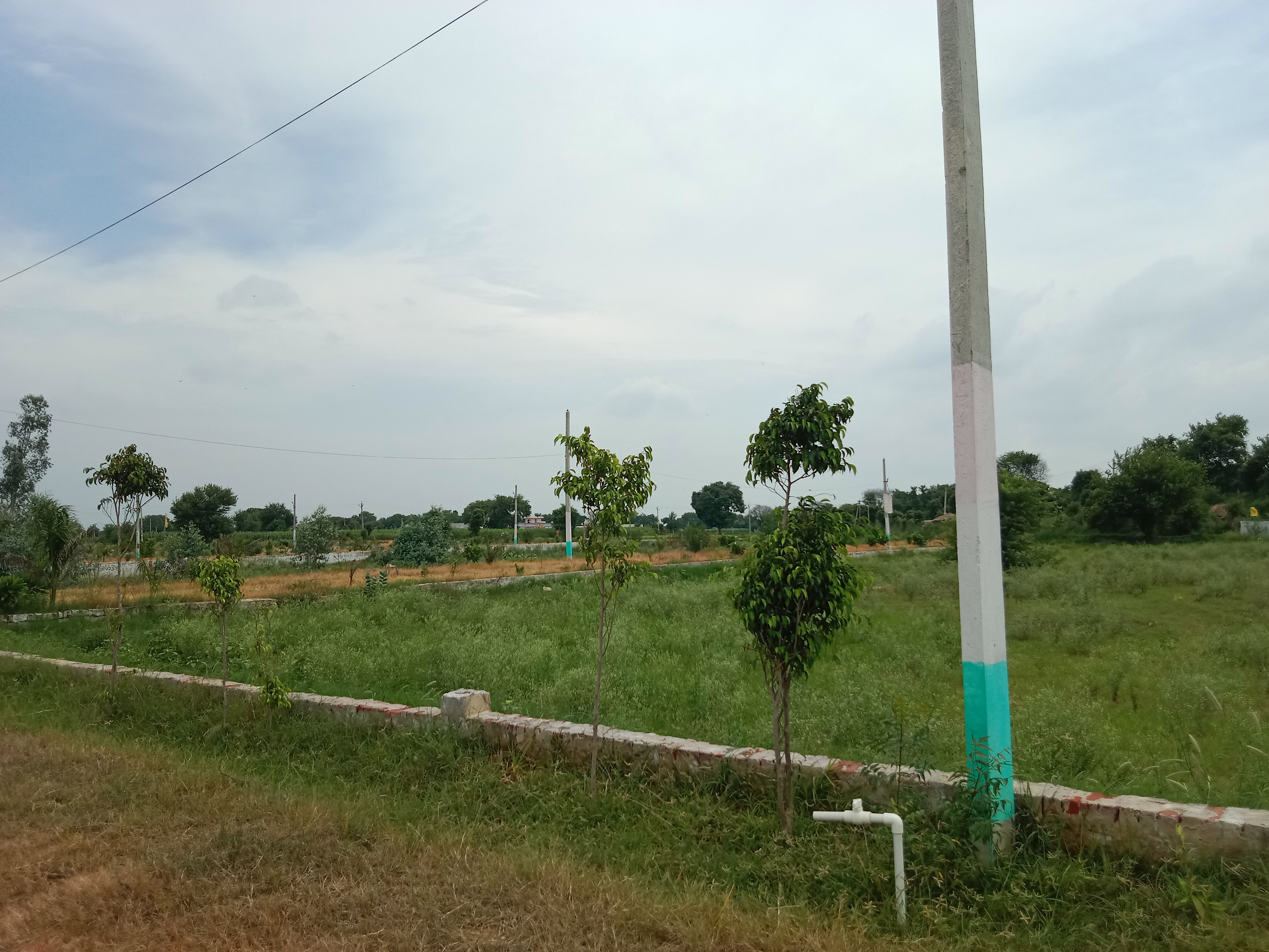 Plot For Resale in Jewar Greater Noida  7563266