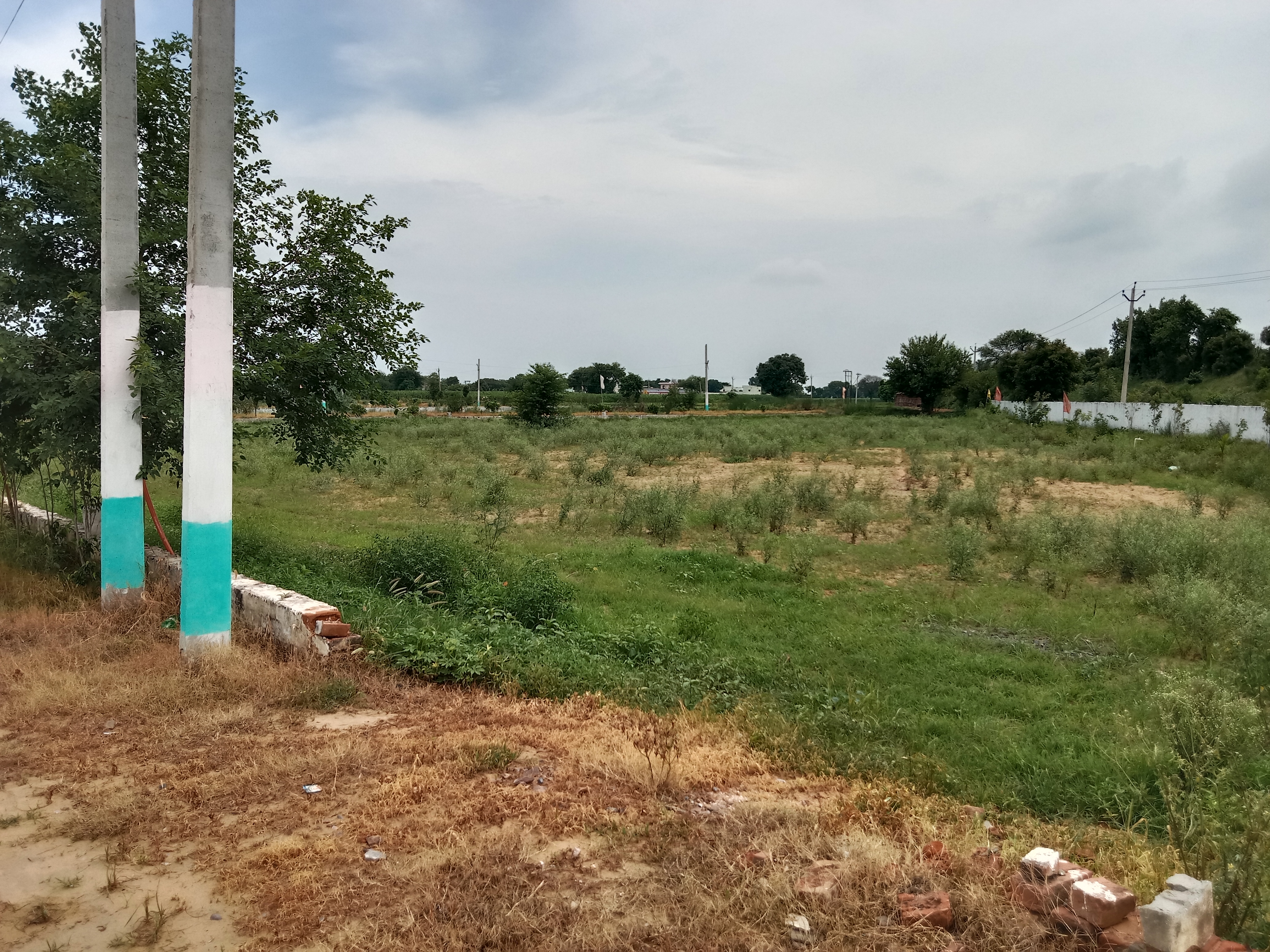 Plot For Resale in Jewar Greater Noida  7563319