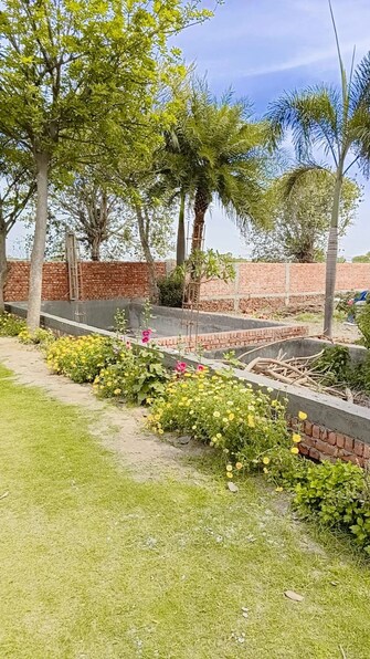 Plot For Resale in Sector 61 Faridabad  7563329