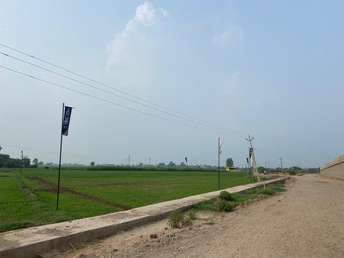 Commercial Industrial Plot 300 Sq.Yd. For Resale in Banur Mohali  7564021