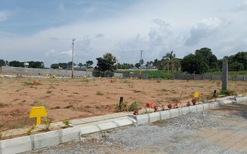 Plot For Sale in Tavarekere