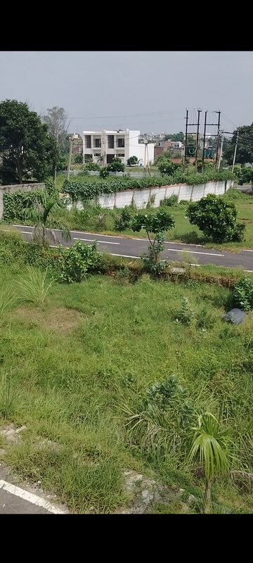 Plot Area in  Plot at Panchli Khurd – for Sale