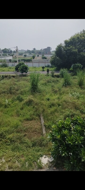  Plot – Garden View at Panchli Khurd - for Sale