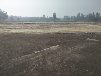 Commercial Land 81000 Sq.Ft. For Resale in Sitapur Road Lucknow  7279508