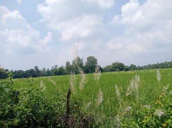 Commercial Land 54000 Sq.Ft. For Resale in Nawabganj Unnao  7565194