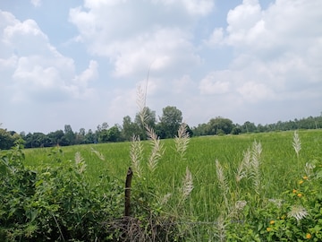 Commercial Land 54000 Sq.Ft. For Resale in Nawabganj Unnao  7565194