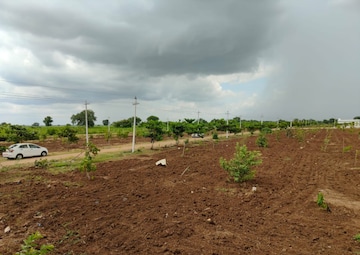 Plot For Resale in Manikonda Hyderabad  7565331