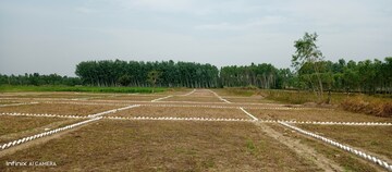 Plot Area in  Plot at Biharigarh – for Sale