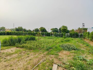 Plot Area in  Plot at Adore Smart City, Sector 97 – for Sale