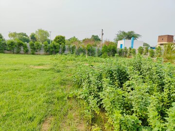  Plot – Garden View at Adore Smart City, Sector 97 - for Sale