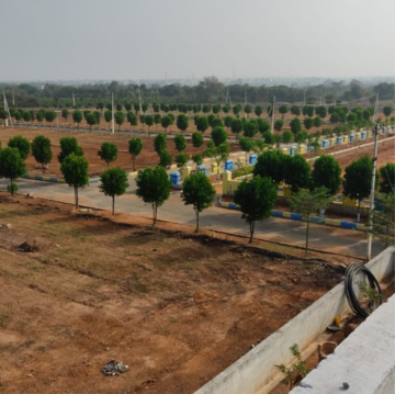 Plot Area in  Plot at Fortune 18, Amangal – for Sale