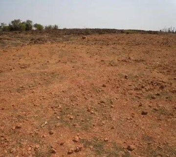 Plot Area in  Plot at Maroli – for Sale