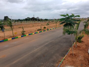  Plot – Exterior View View at Narayankhed - for Sale
