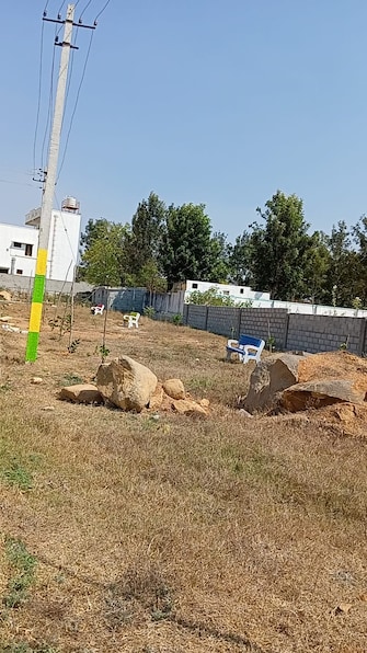 Plot For Resale in KolaR-Chikkaballapur Road Kolar  7566486