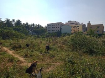 Commercial Land 3 Acre For Resale in House Road Bangalore  7567332