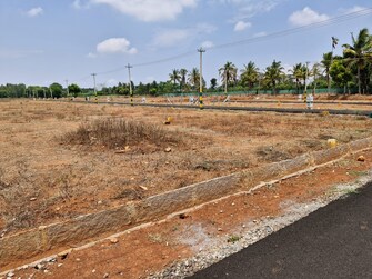 Plot For Resale in Sidlaghatta Chikkaballapur  7551452