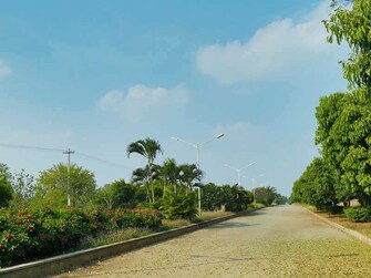 Plot For Resale in Chilkur Hyderabad  7567938