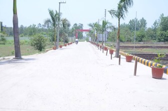 Plot For Resale in GNIDA Lohiya Enclave Saini Greater Noida  7568156