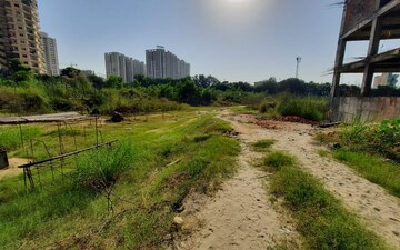 Plot For Sale in Sadopur