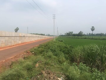 Plot For Resale in Devarapalli WestGodavari  7568585