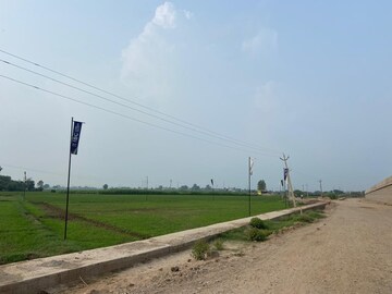 Commercial Land 300 Sq.Yd. For Resale in Mullanpur Mohali  7568686