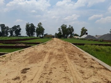 Plot Area in  Plot at Jewar – for Sale