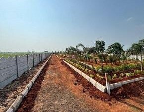 Plot For Sale in Sri Bhumi Eeshaanya, Kankipadu