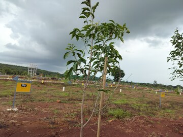 Plot Area in  Plot at Veltur – for Sale