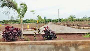 Plot Area in  Plot at Budhera – for Sale