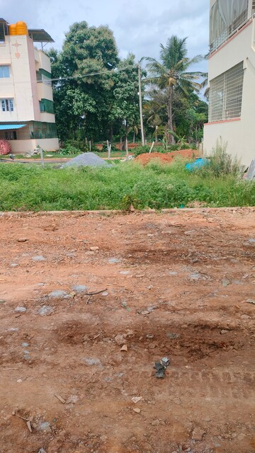 Plot For Resale in Medimallasandra Bangalore  7569248