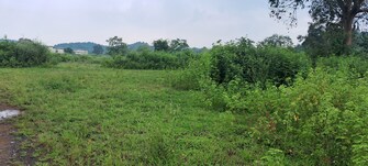 Plot For Resale in SS Farm Karjat Navi Mumbai  7569254