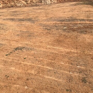 Plot Area in  Plot at Fortune 18, Amangal – for Sale