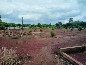 Plot Area in  Plot at Budhera – for Sale