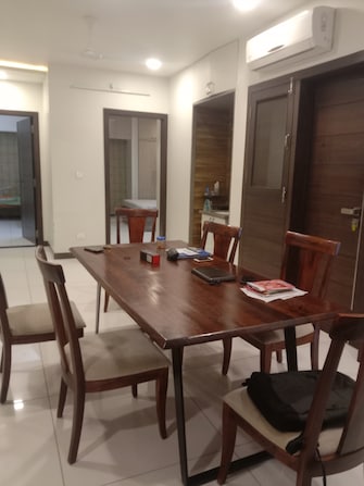 3.5 BHK Apartment For Rent in Sardarpura Khurd Jodhpur  7569389