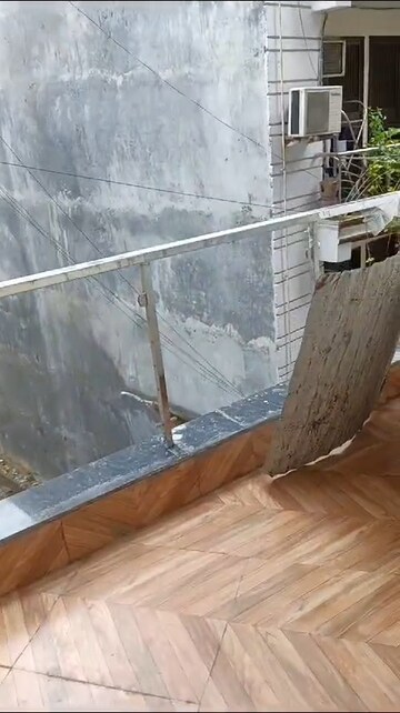 Balcony in 2 BHK Builder Floor at Chattarpur – for Sale