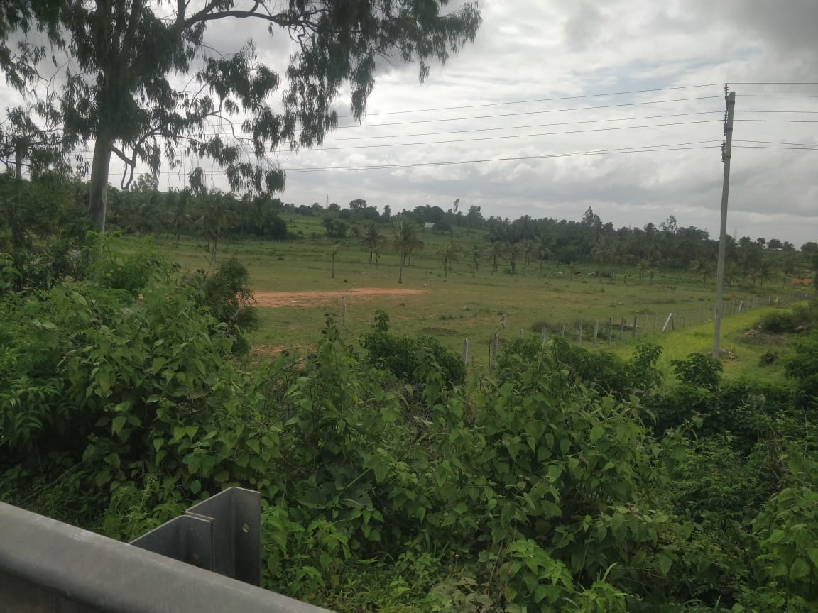 Plot For Resale in Vidyaranyapura Bangalore  7569788