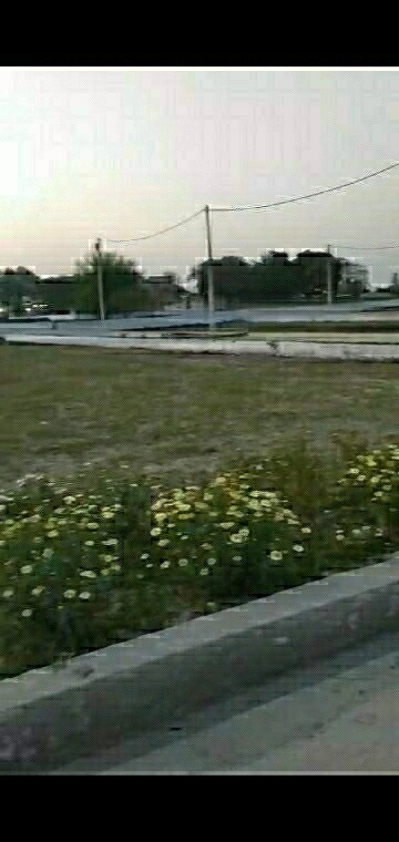  Plot – Exterior View View at GSG Apartments, Sector 101 - for Sale